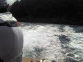 2011-04-13_12-13-51_485