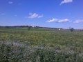 2012-04-19_17-18-26_828